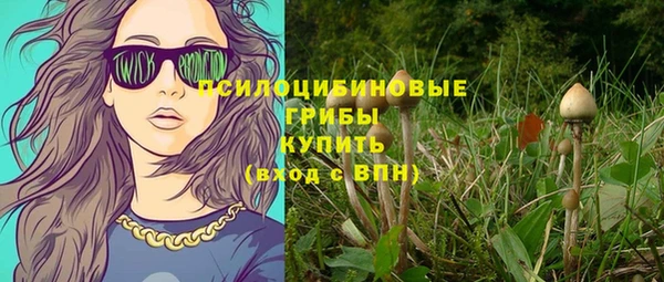 гидропоника Верхнеуральск