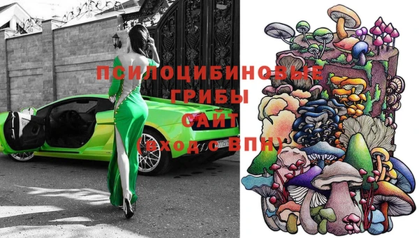 ешки Верхний Тагил